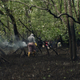 The women head into the mangroves.